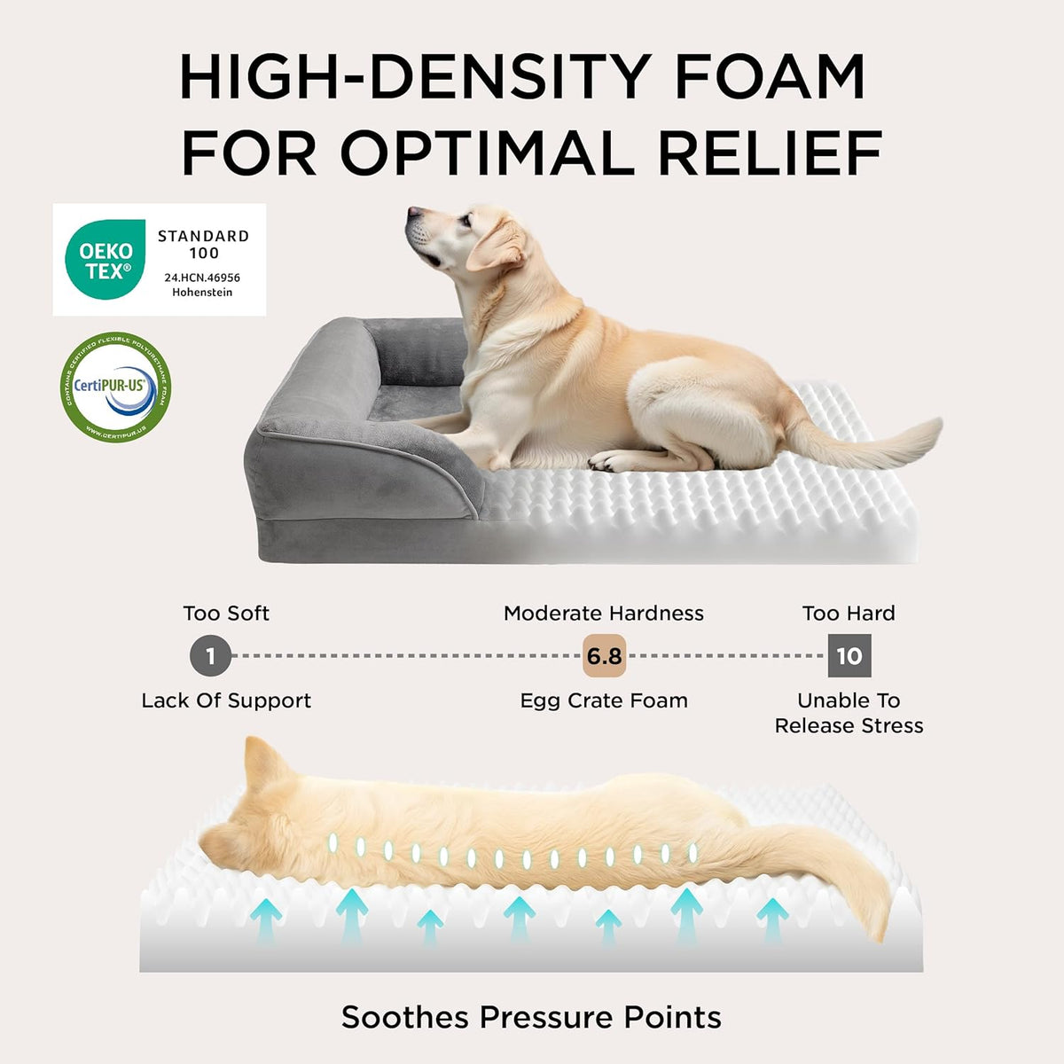 Orthopedic Dog Beds Large Sized Dog Washable Original Design