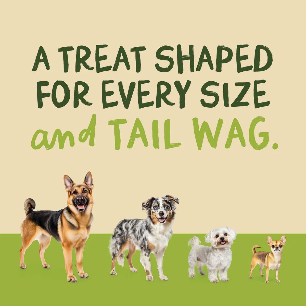 Chik 'N Rice Dumbells - Natural Dog Treats, Chicken, 1 Pound