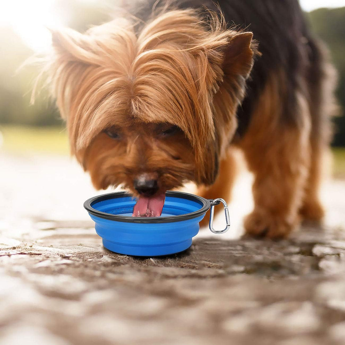Large Collapsible Dog Bowls 2 Pack, 34Oz Foldable Dog Travel Bowl