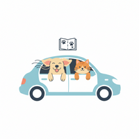 Car & Travel